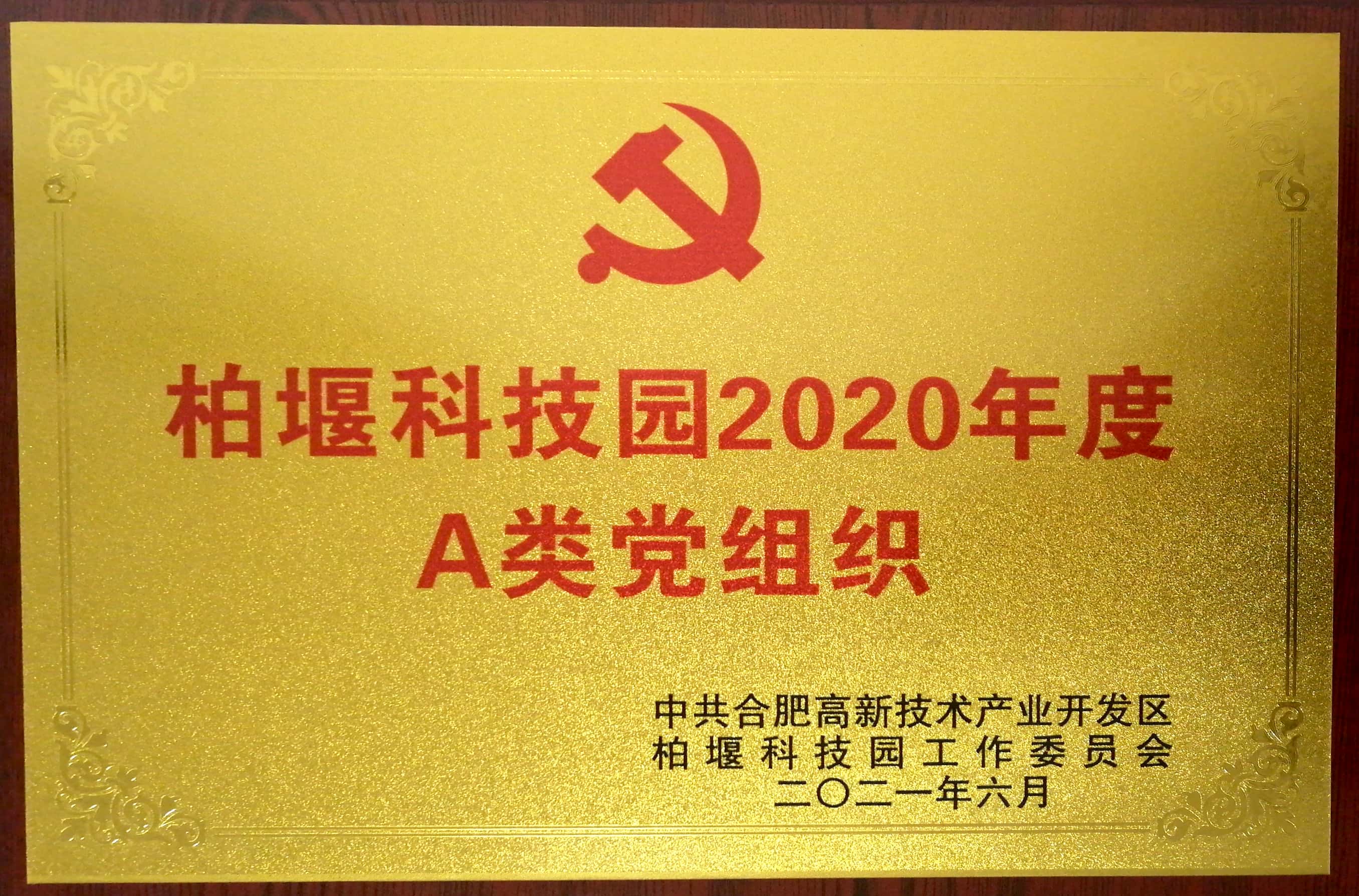柏堰科技園A類黨組織,深藍醫(yī)療